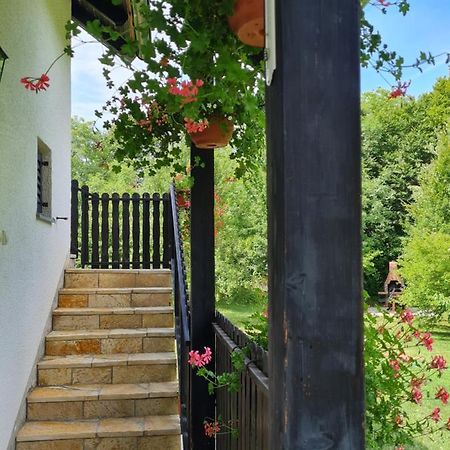 Apartman Poznanovic Lägenhet Rakovica Exteriör bild