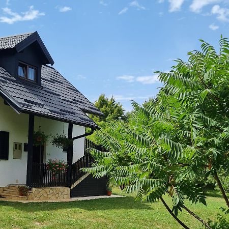 Apartman Poznanovic Lägenhet Rakovica Exteriör bild