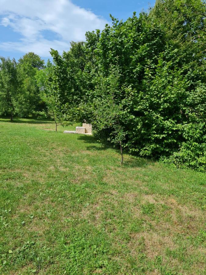 Apartman Poznanovic Lägenhet Rakovica Exteriör bild